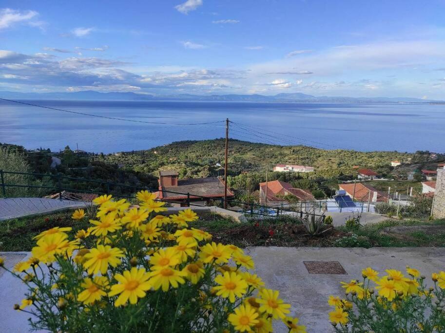 Κατοικία Πανόραμα, Πραγματευτή Λεωνιδίου, Τ.Κ.22300 Leonidio Exterior photo
