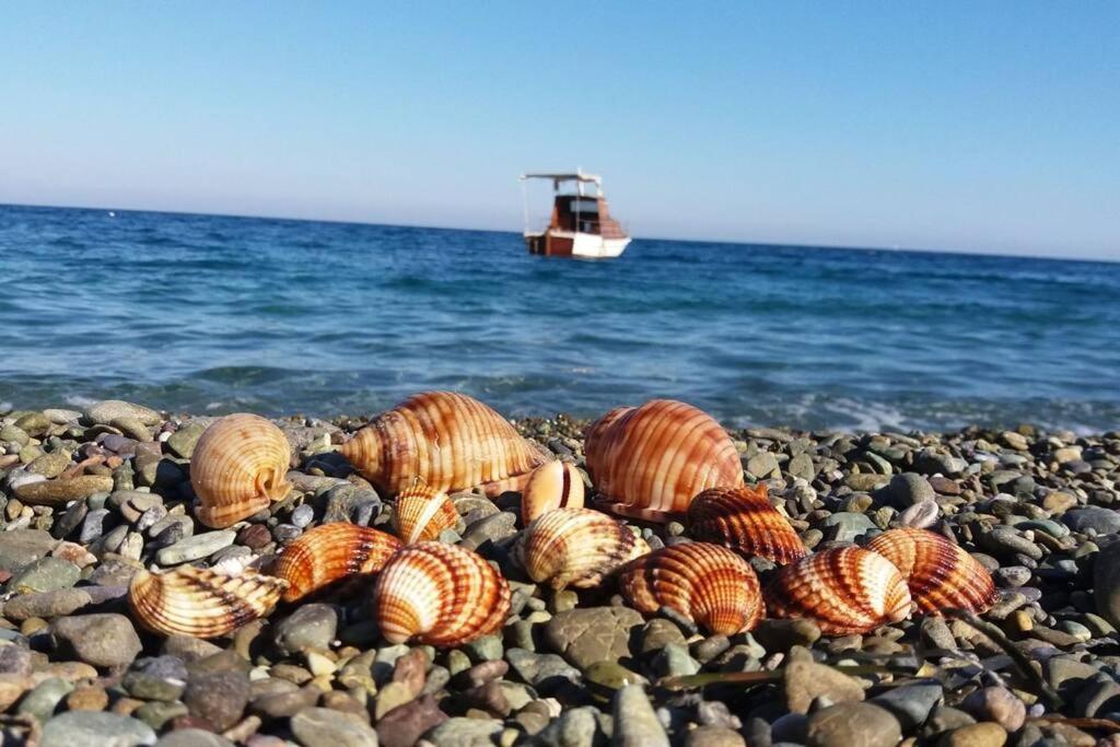 Κατοικία Πανόραμα, Πραγματευτή Λεωνιδίου, Τ.Κ.22300 Leonidio Exterior photo